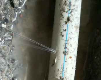 台江卫生间测漏水多少钱